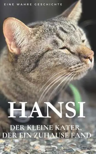 Cover: 9783991818144 | Hansi. Der kleine Kater, der ein Zuhause fand. | Thomas Fehr | Buch
