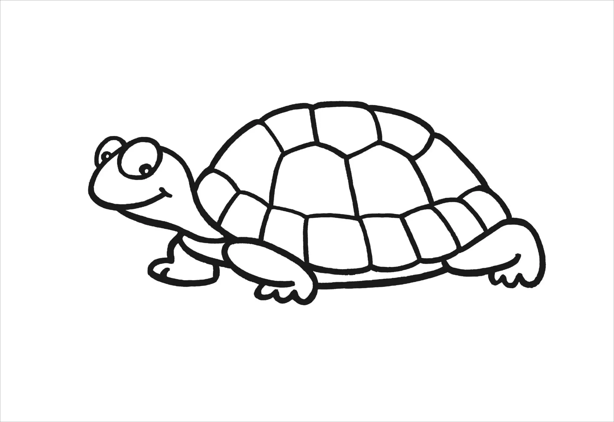 Bild: 9783788648244 | Erstes Malbuch. Tiere | Ab 2 Jahren | Kersti Turnhofer | Taschenbuch