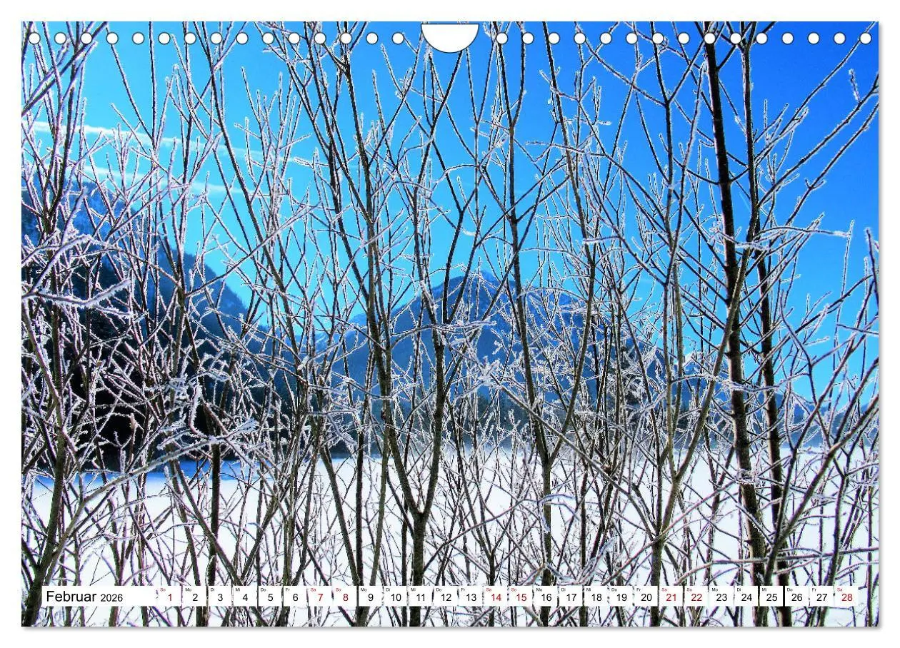 Bild: 9783457598344 | Das Graswangtal (Wandkalender 2026 DIN A4 quer), CALVENDO...