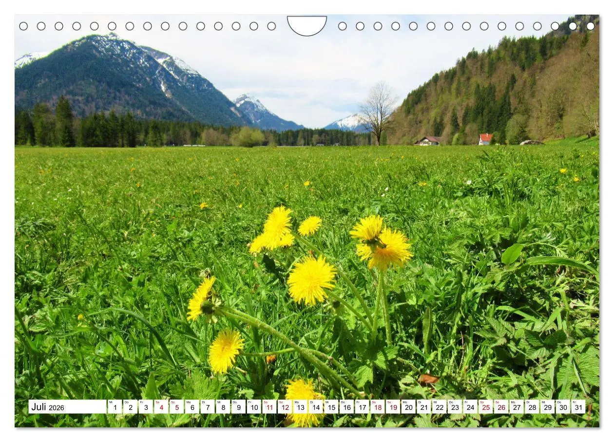 Bild: 9783457598344 | Das Graswangtal (Wandkalender 2026 DIN A4 quer), CALVENDO...