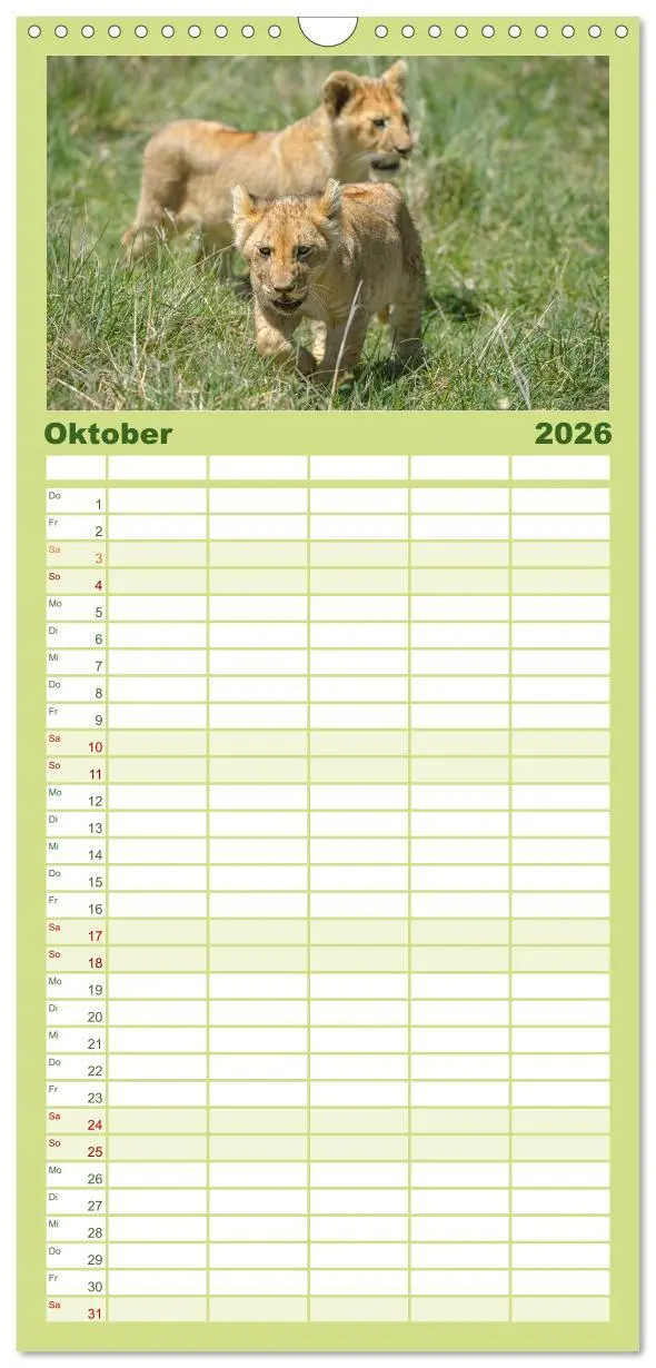 Bild: 9783516518344 | Familienplaner 2026 - Abenteuer Afrika - Im Paradies der Tiere mit...