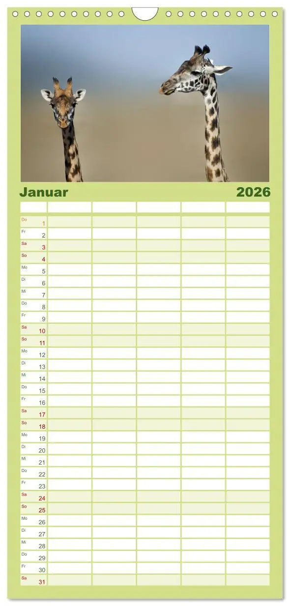 Bild: 9783516518344 | Familienplaner 2026 - Abenteuer Afrika - Im Paradies der Tiere mit...