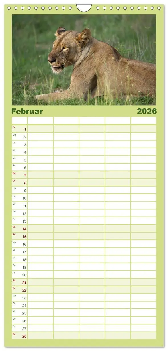 Bild: 9783516518344 | Familienplaner 2026 - Abenteuer Afrika - Im Paradies der Tiere mit...