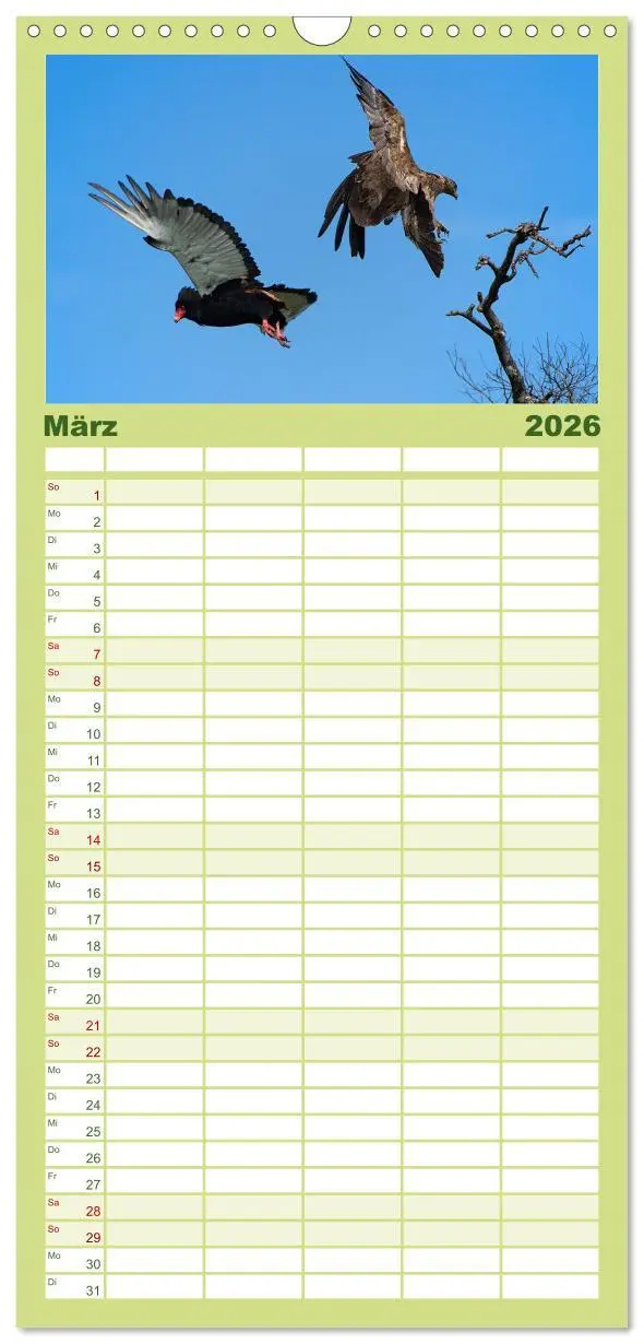 Bild: 9783516518344 | Familienplaner 2026 - Abenteuer Afrika - Im Paradies der Tiere mit...
