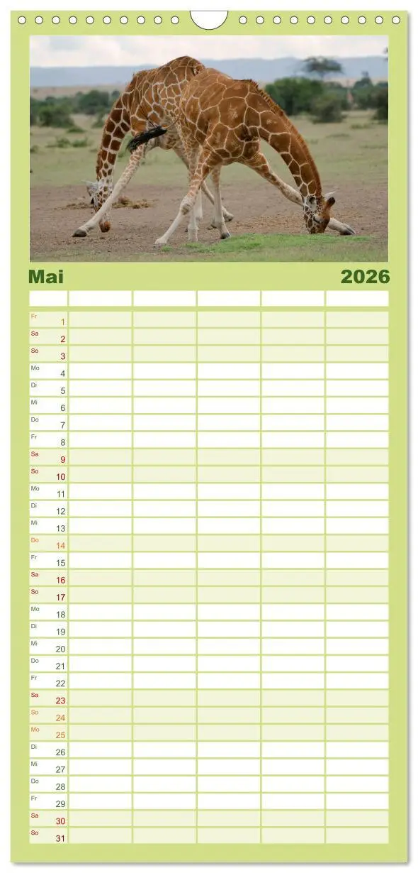 Bild: 9783516518344 | Familienplaner 2026 - Abenteuer Afrika - Im Paradies der Tiere mit...
