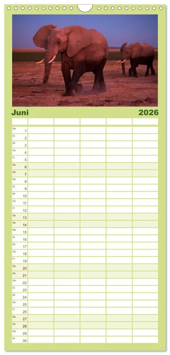 Bild: 9783516518344 | Familienplaner 2026 - Abenteuer Afrika - Im Paradies der Tiere mit...