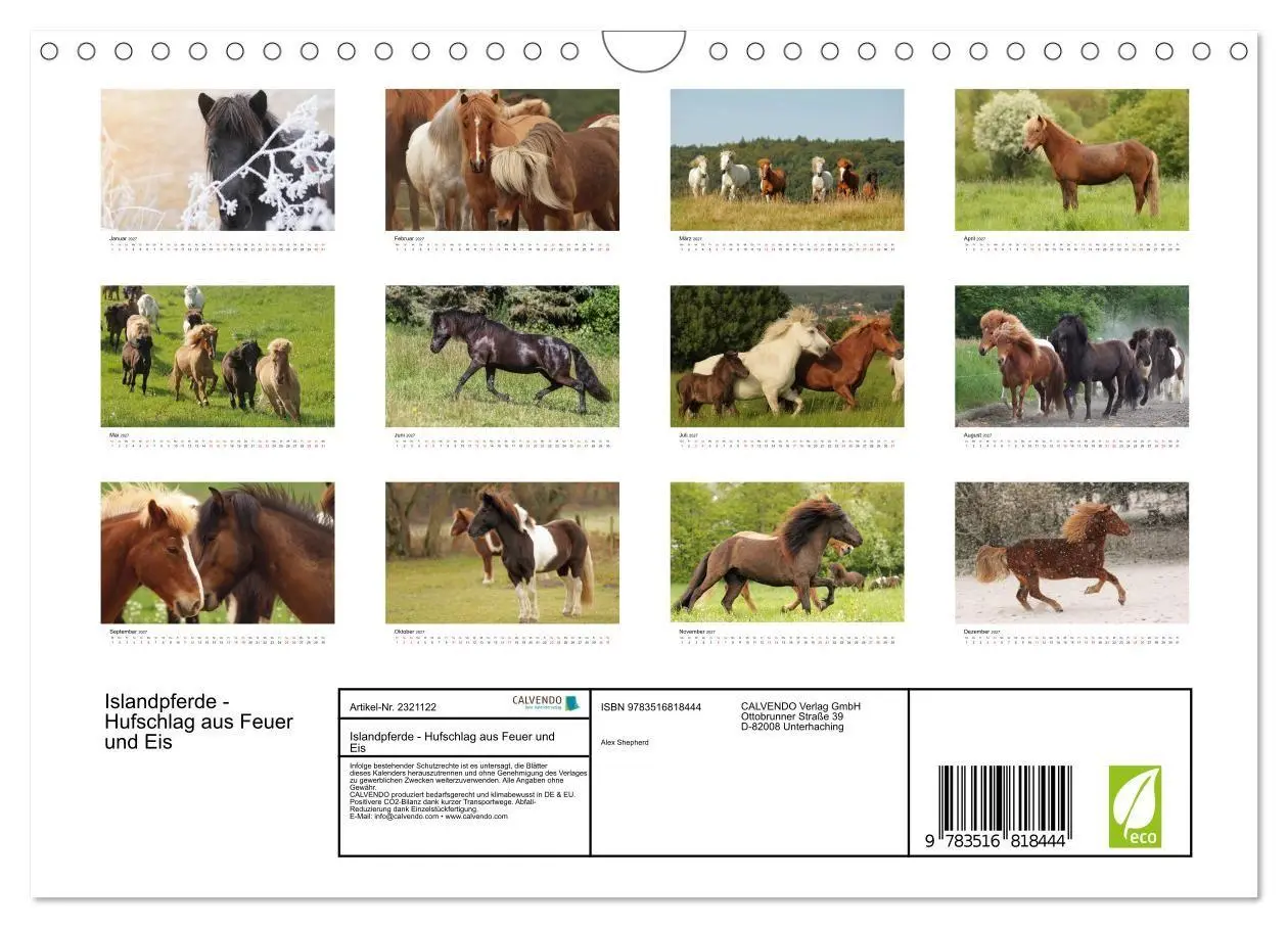 Bild: 9783516818444 | Islandpferde - Hufschlag aus Feuer und Eis (Wandkalender 2027 DIN...