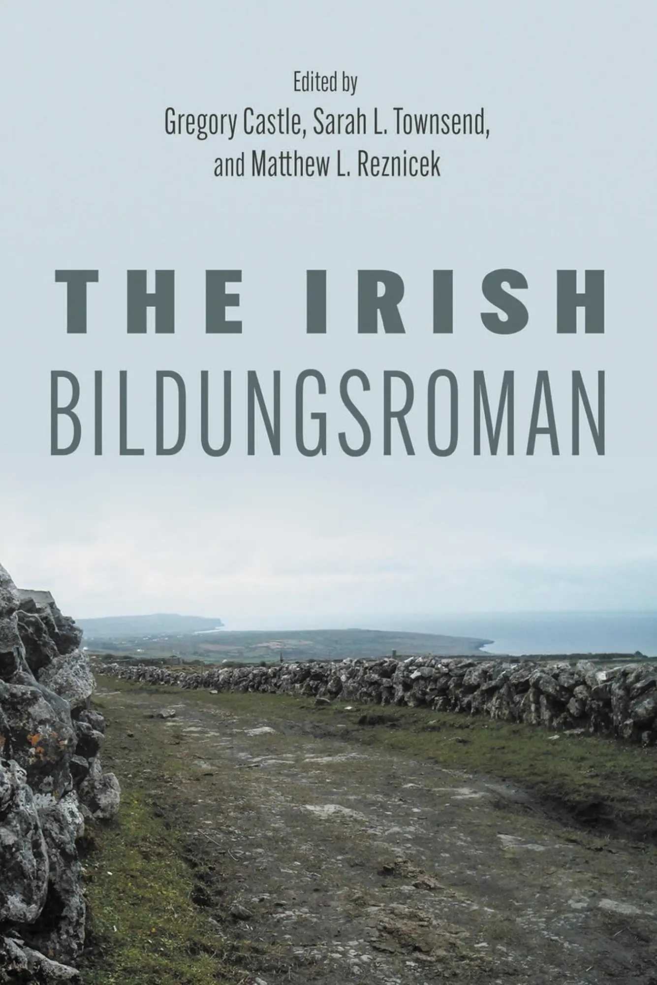 Cover: 9780815638544 | The Irish Bildungsroman | Gregory Castle (u. a.) | Taschenbuch | 2025
