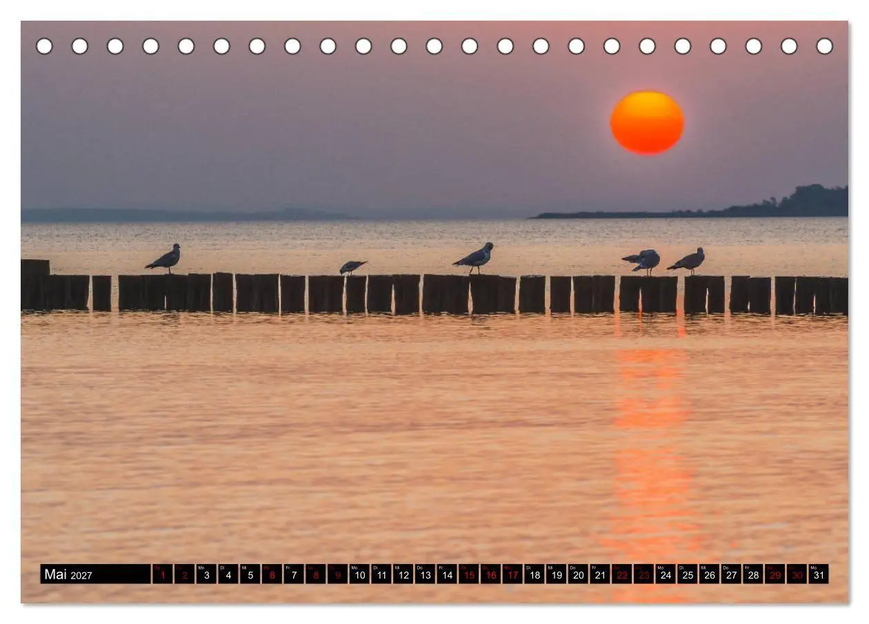 Bild: 9783569758544 | Ostsee - Boltenhagen (Tischkalender 2027 DIN A5 quer), CALVENDO...