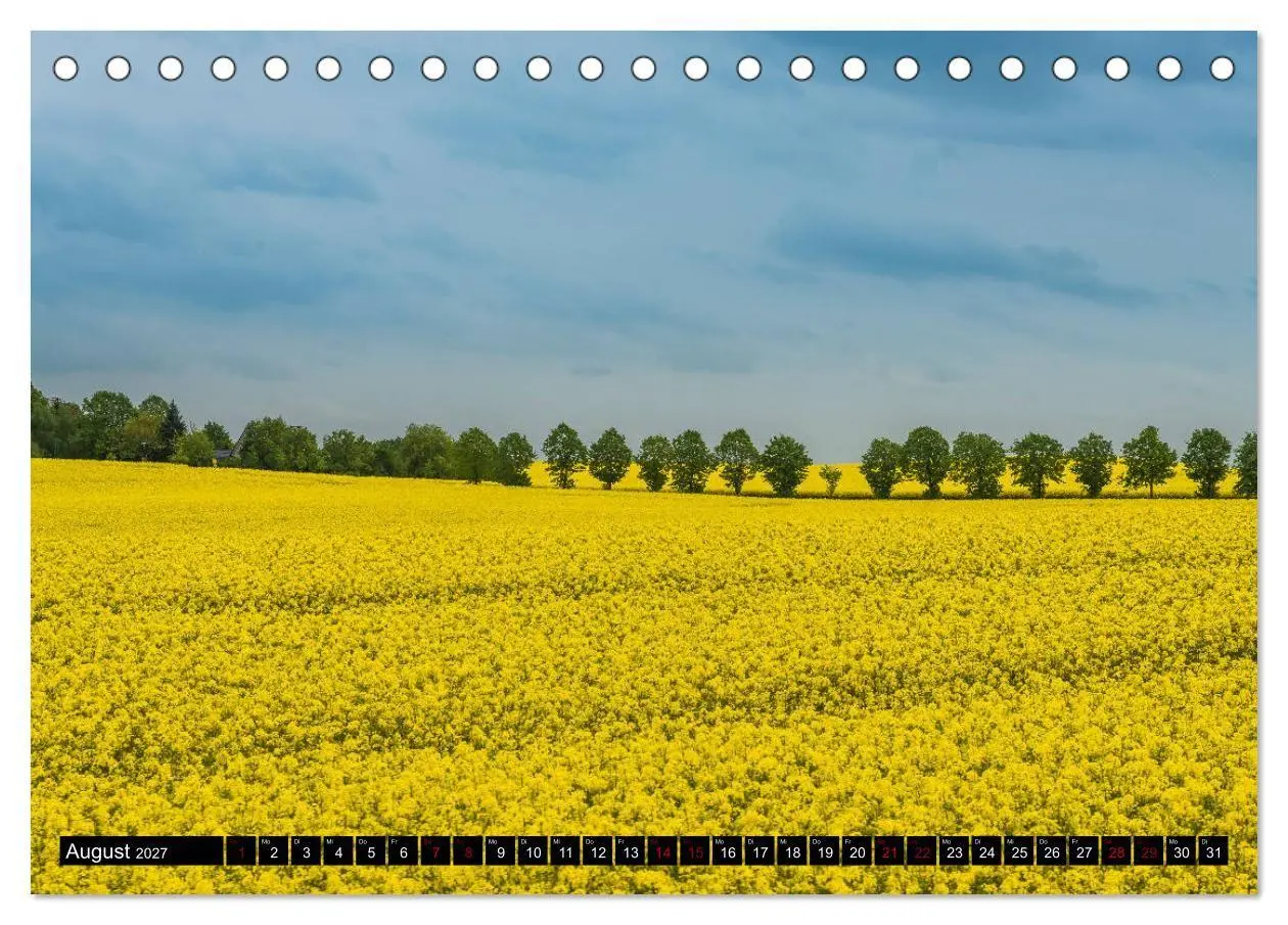Bild: 9783569758544 | Ostsee - Boltenhagen (Tischkalender 2027 DIN A5 quer), CALVENDO...