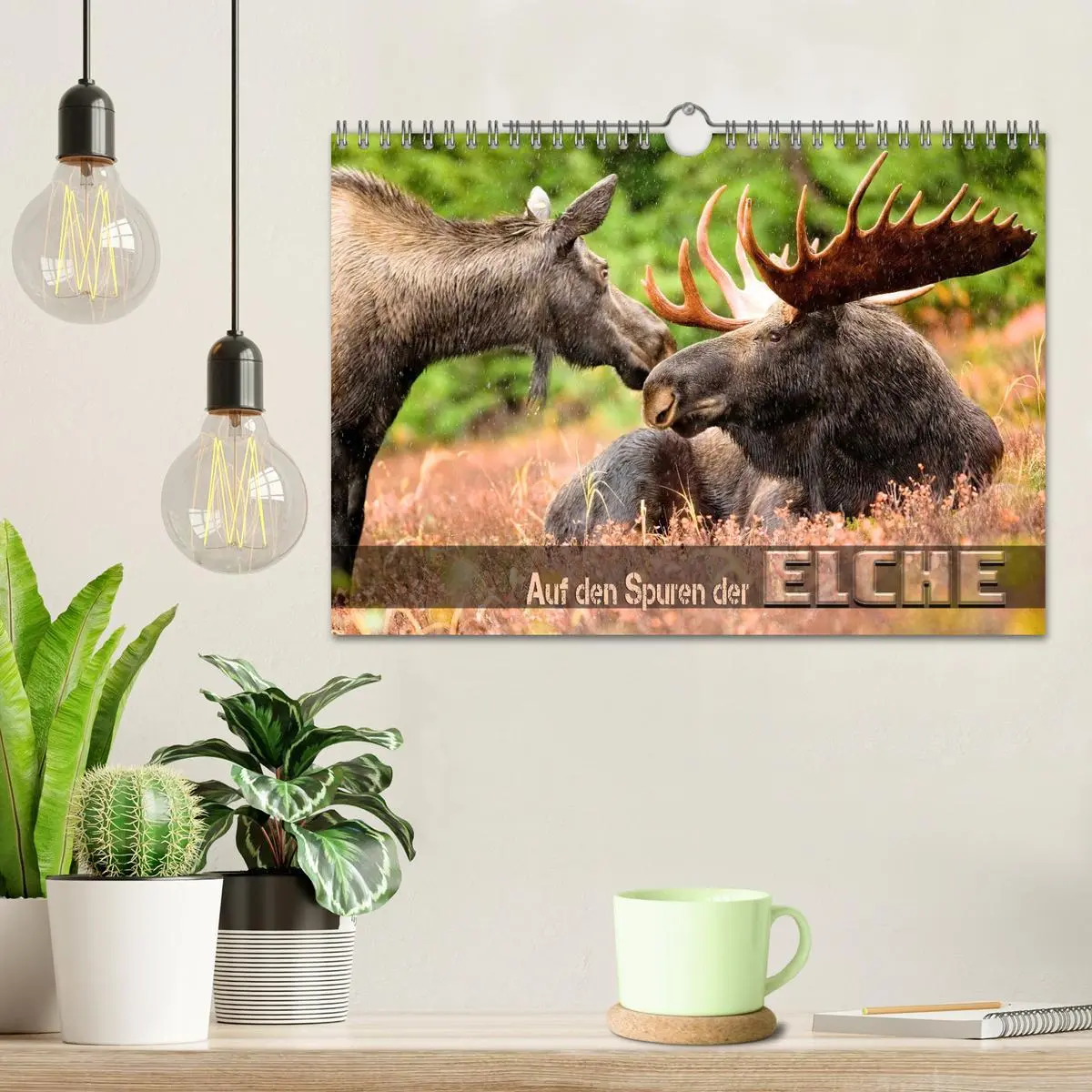Bild: 9783457568644 | Auf den Spuren der Elche (Wandkalender 2026 DIN A4 quer), CALVENDO...