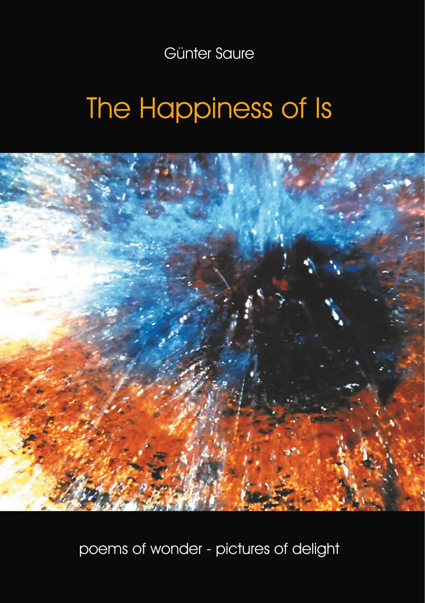 Cover: 9783735758644 | The Happiness of Is | Poems of wonder - pictures of delight | Saure