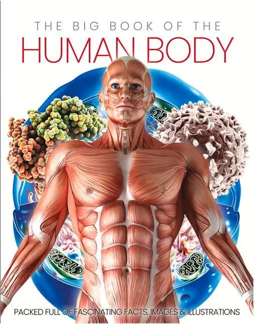 Cover: 9781912918744 | The Big Book of the Human Body | Katharine Marsh | Buch | Gebunden