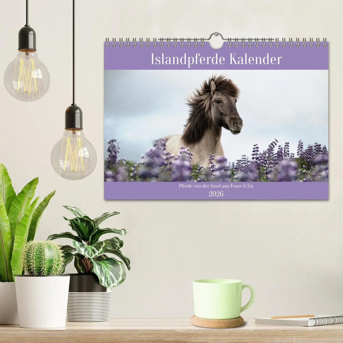 Bild: 9783457558744 | Islandpferde Kalender (Wandkalender 2026 DIN A4 quer), CALVENDO...