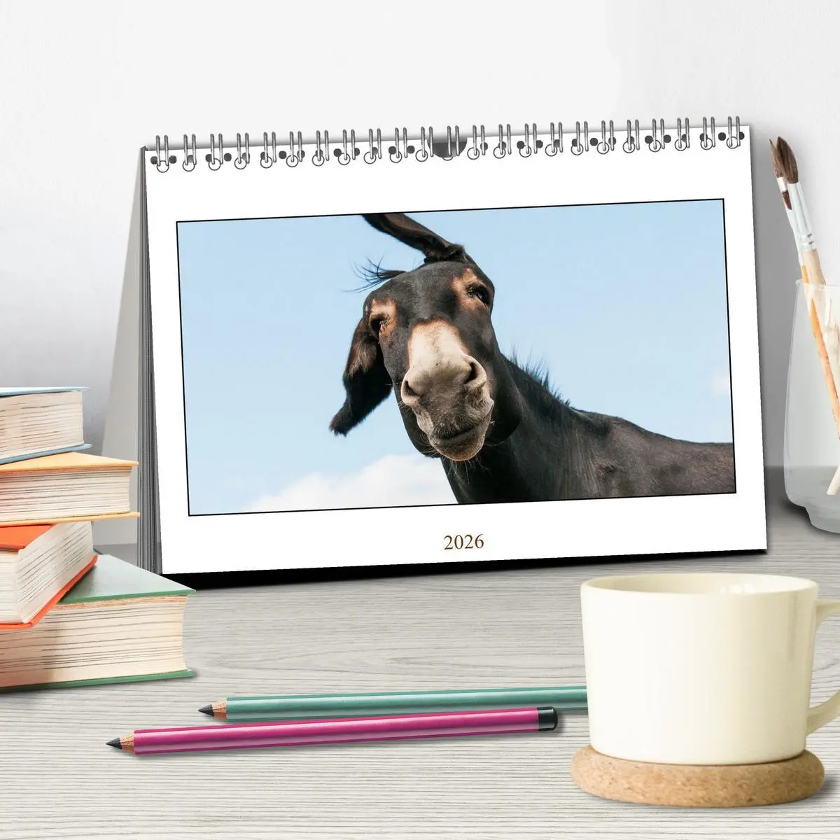 Bild: 9783457618844 | Esel Lebensfreude - Spaß mit Langohren (Tischkalender 2026 DIN A5...