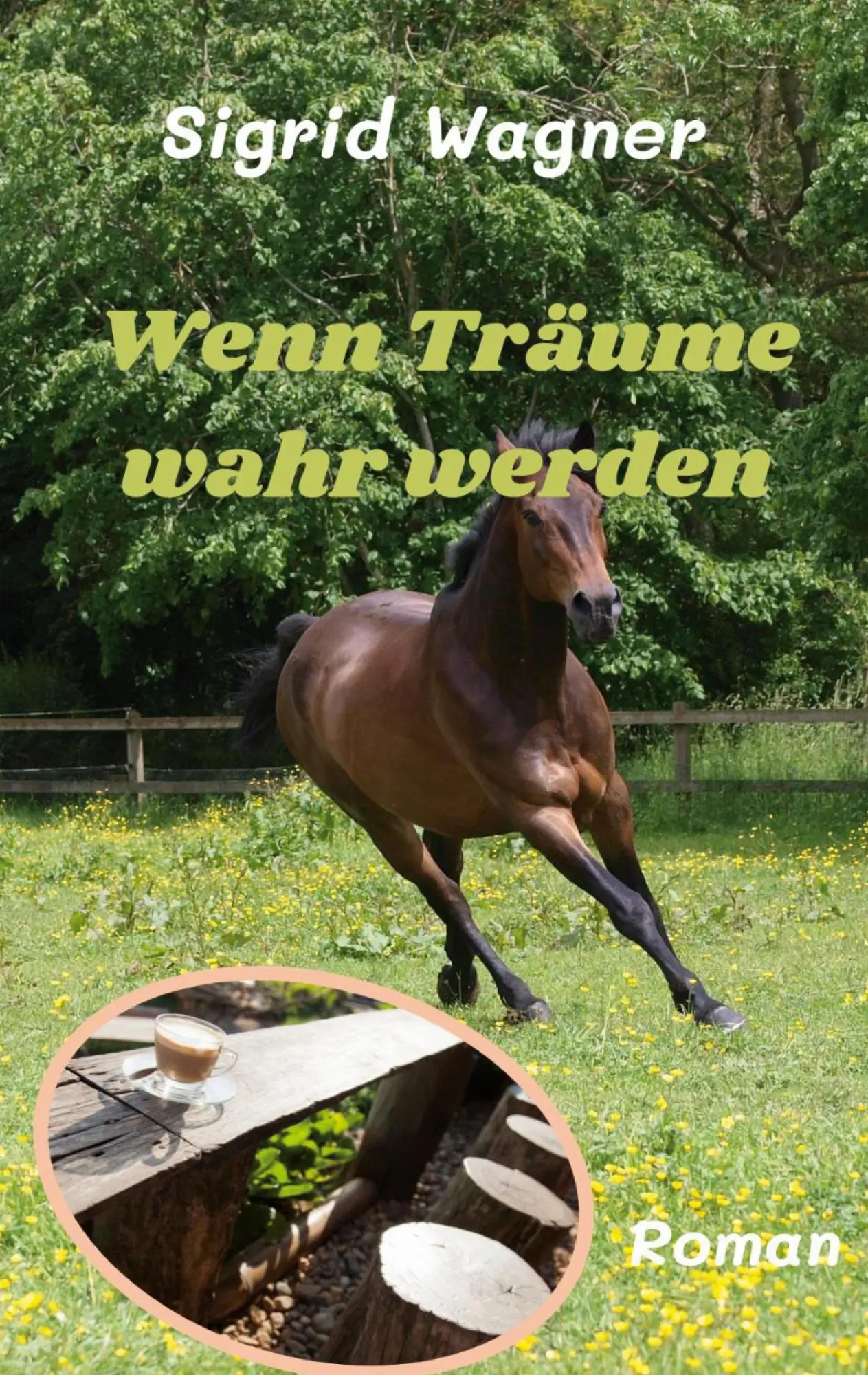 Cover: 9783757828844 | Wenn Träume wahr werden | Charly 2 - und leise erzählt der Wind | Buch