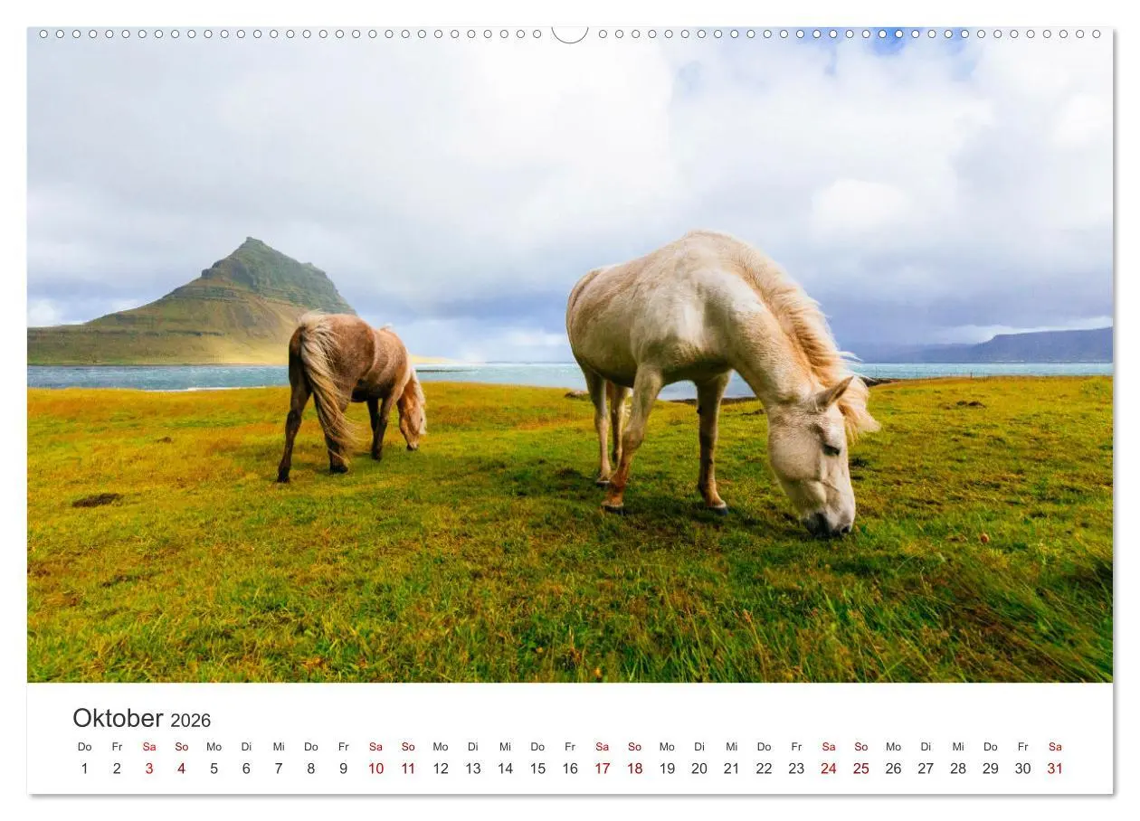 Bild: 9783457538944 | Islandpferde - Die süßen Pferde im Norden. (Wandkalender 2026 DIN...