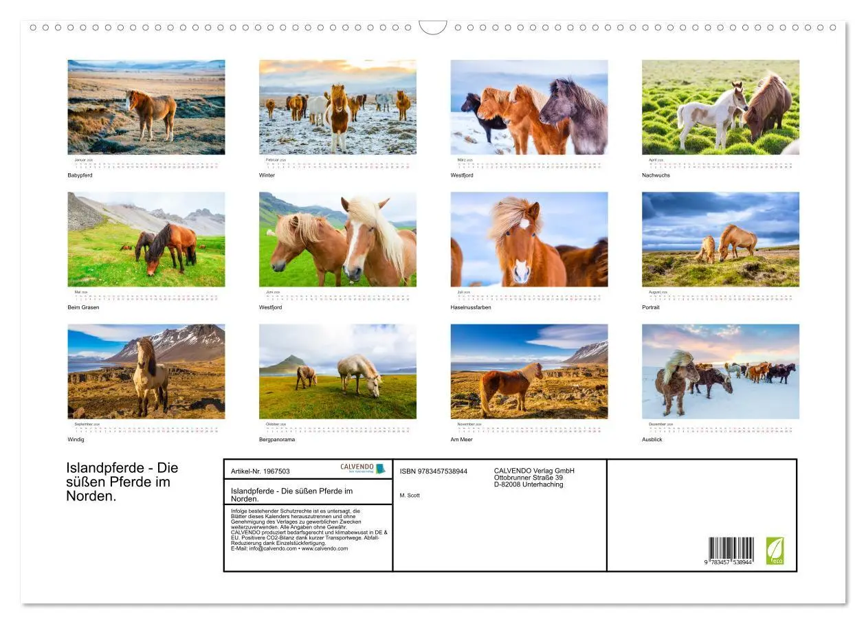 Bild: 9783457538944 | Islandpferde - Die süßen Pferde im Norden. (Wandkalender 2026 DIN...