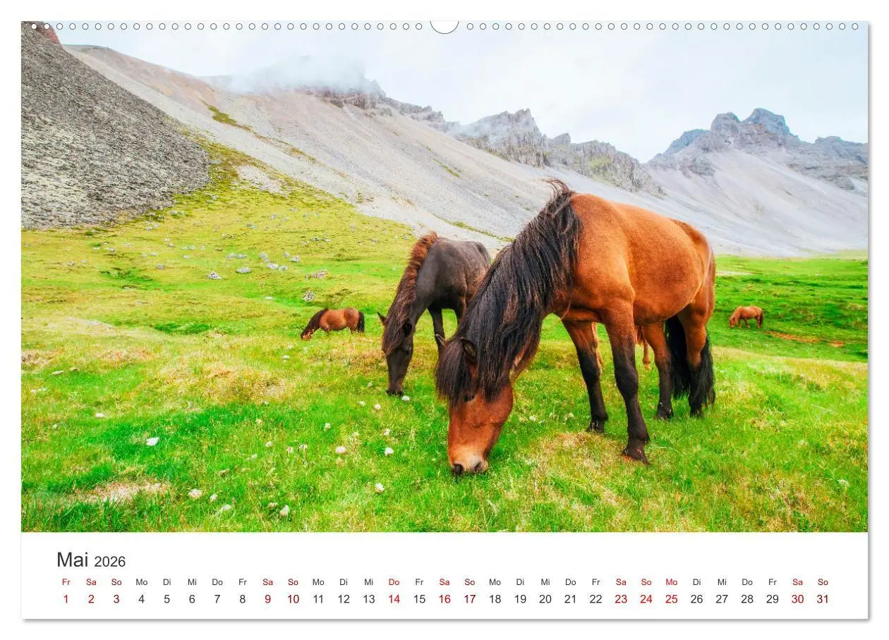 Bild: 9783457538944 | Islandpferde - Die süßen Pferde im Norden. (Wandkalender 2026 DIN...
