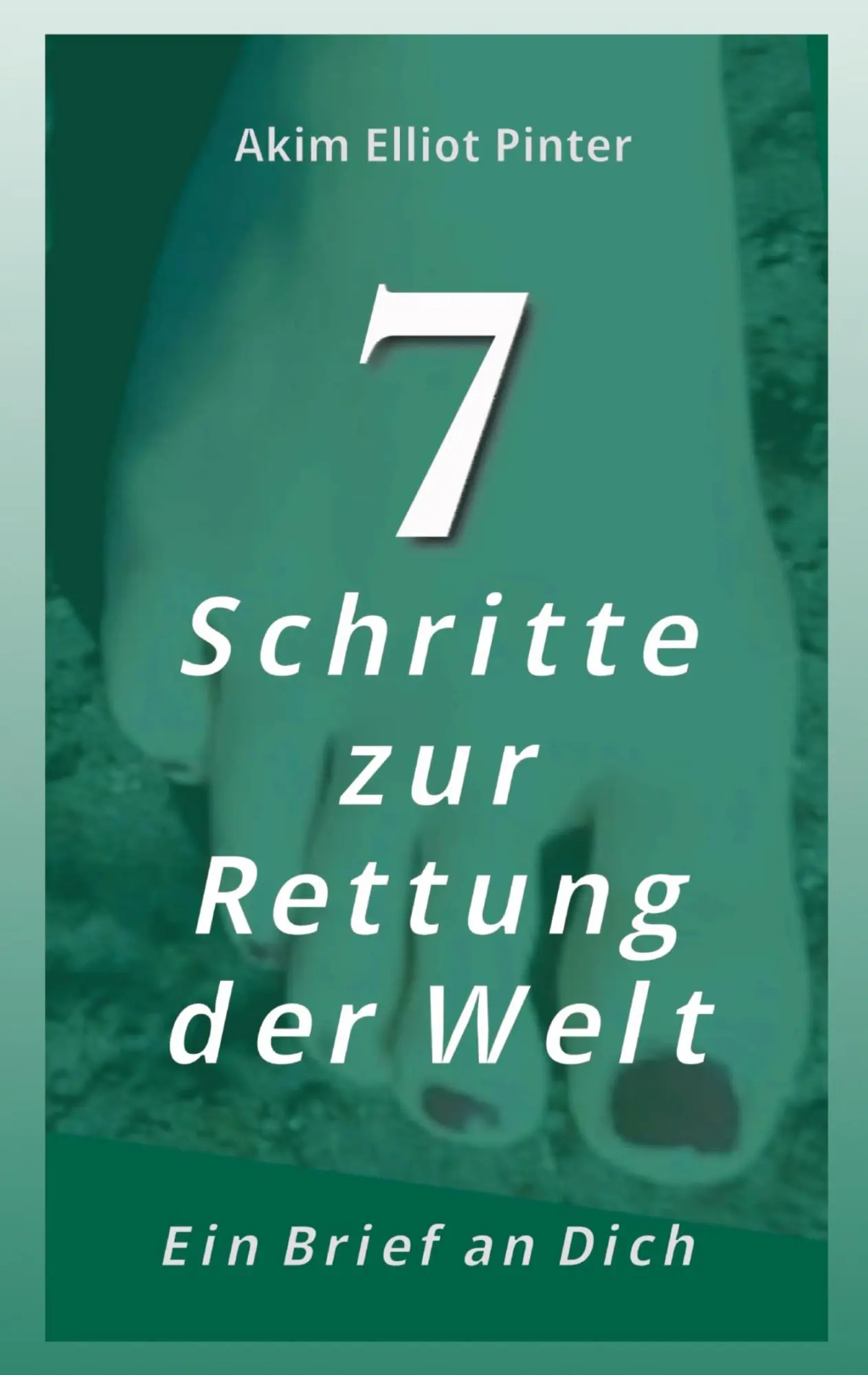 Cover: 9783347399044 | 7 Schritte zur Rettung der Welt | Ein Brief an Dich | Pinter | Buch