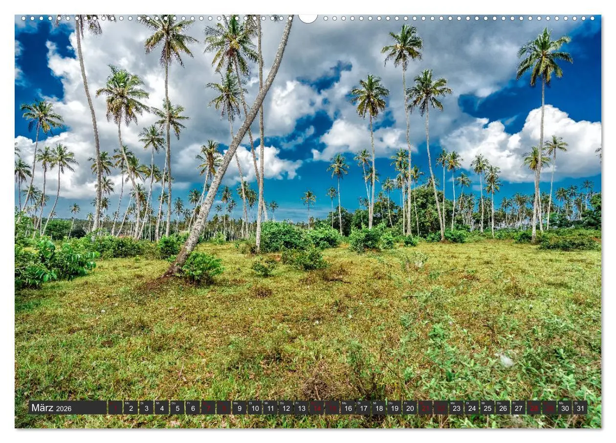 Bild: 9783457739044 | Inselparadies Sansibar (hochwertiger Premium Wandkalender 2026 DIN...