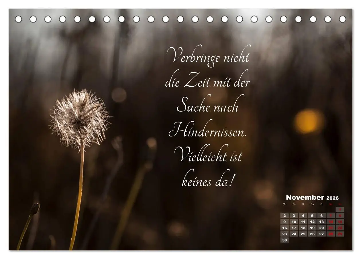 Bild: 9783457809044 | Chinesische Weisheiten (Tischkalender 2026 DIN A5 quer), CALVENDO...