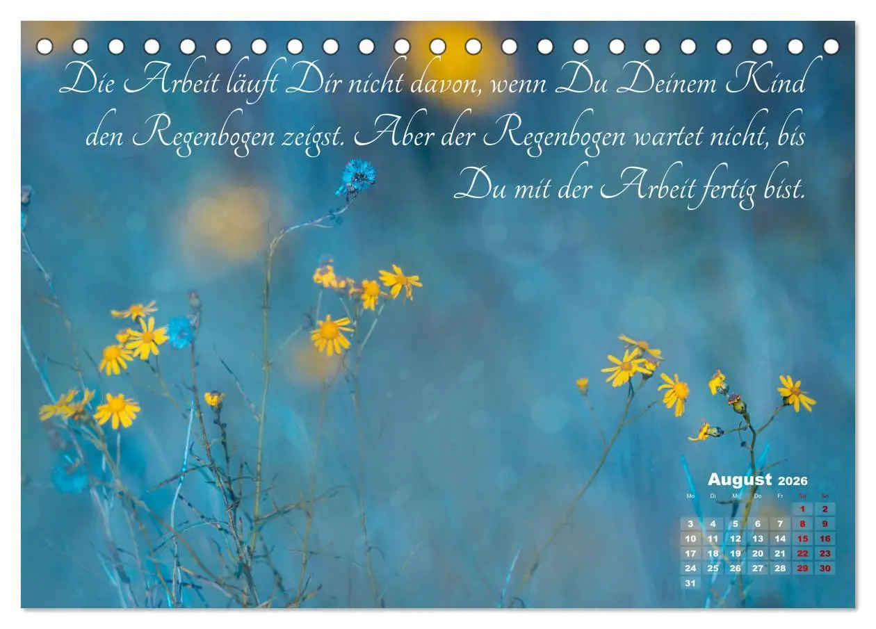 Bild: 9783457809044 | Chinesische Weisheiten (Tischkalender 2026 DIN A5 quer), CALVENDO...