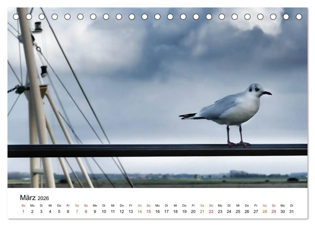 Bild: 9783457979044 | Wieder an der Nordsee (Tischkalender 2026 DIN A5 quer), CALVENDO...