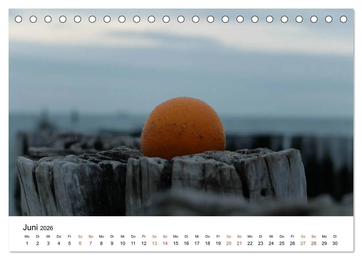 Bild: 9783457979044 | Wieder an der Nordsee (Tischkalender 2026 DIN A5 quer), CALVENDO...