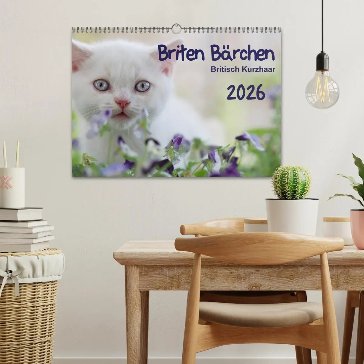 Bild: 9783516139044 | Briten Bärchen - Britsch Kurzhaar 2026 (Wandkalender 2026 DIN A3...