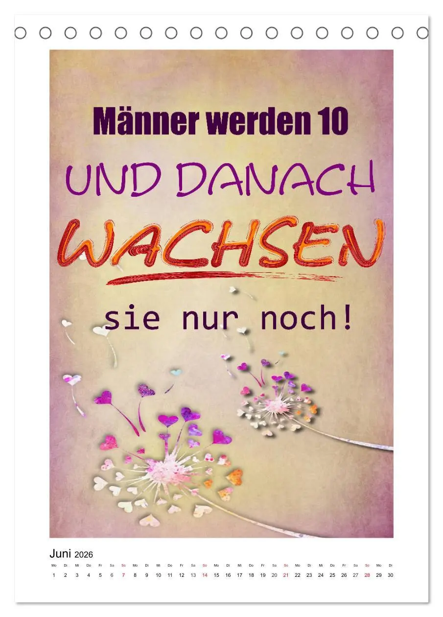 Bild: 9783516379044 | Humor und Ironie. Lustige Sprüche (Tischkalender 2026 DIN A5 hoch),...