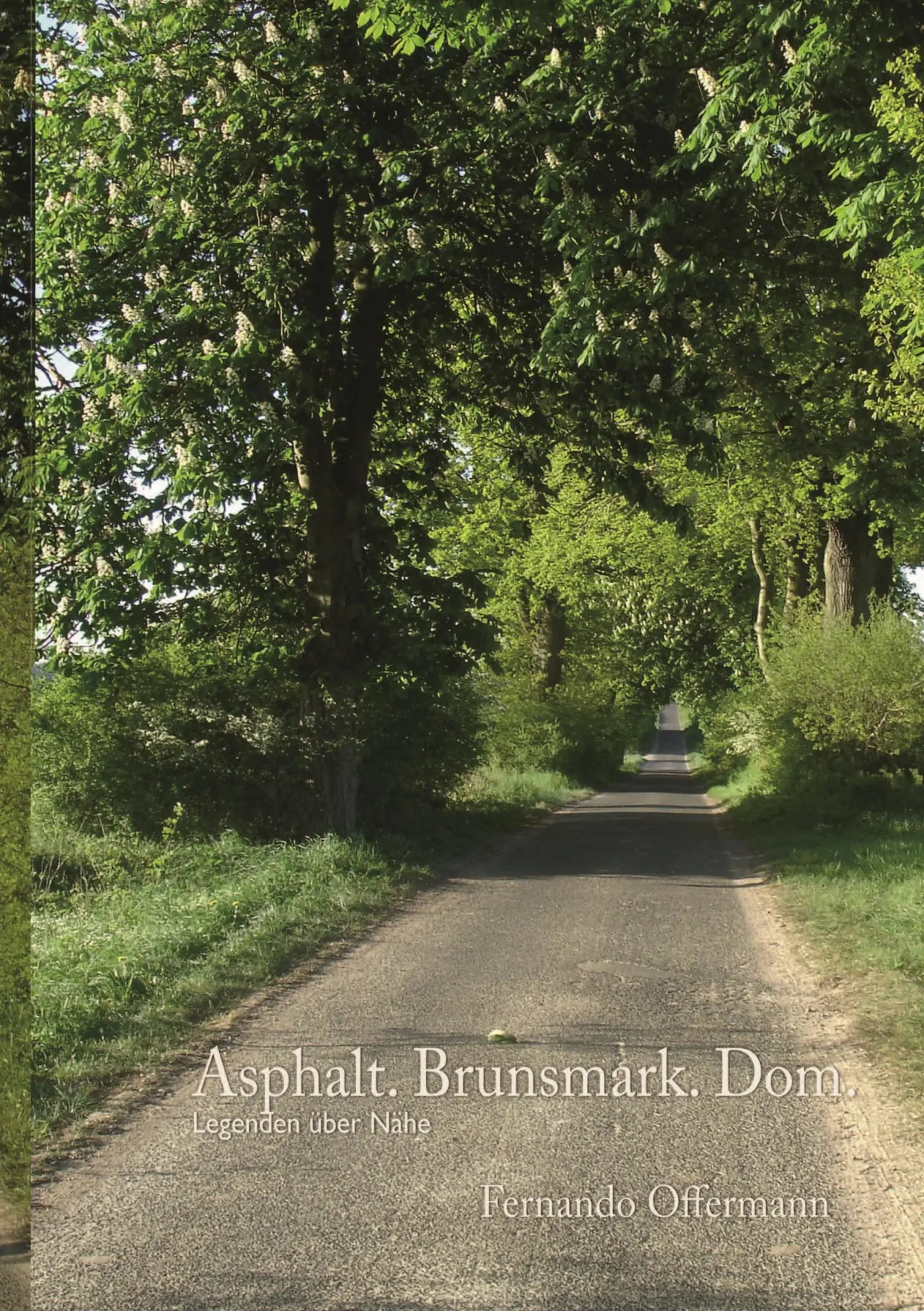 Cover: 9783695719044 | Asphalt. Brunsmark. Dom | Legenden über Nähe | Fernando Offermann