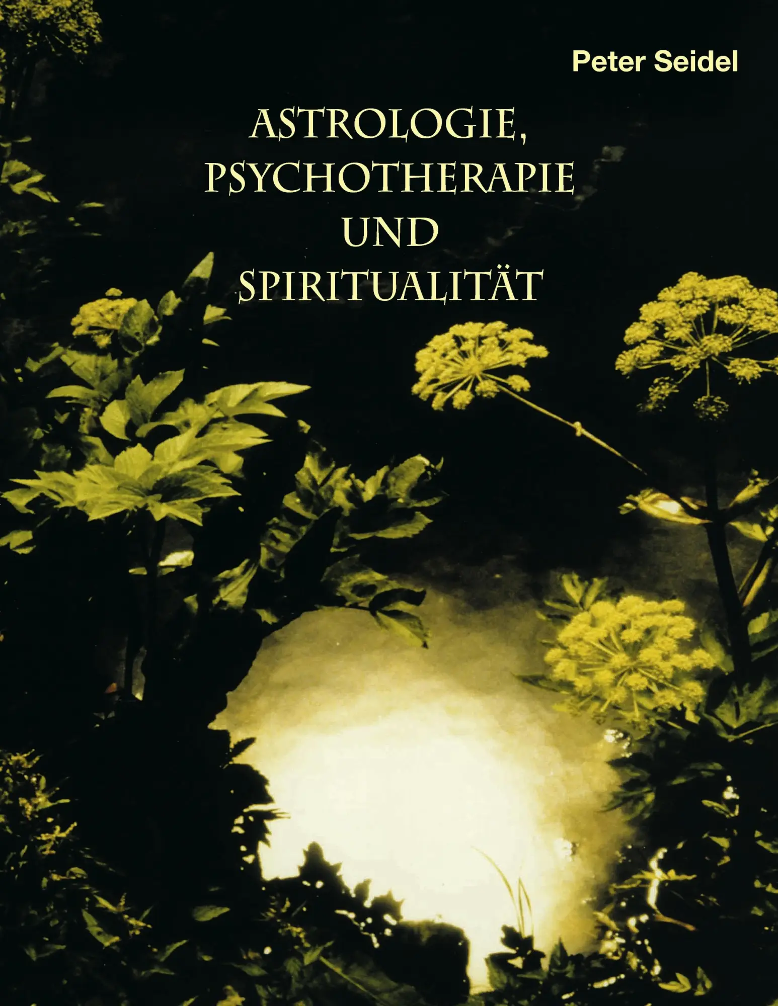 Cover: 9783839119044 | Astrologie, Psychotherapie und Spiritualität | Peter Seidel | Buch