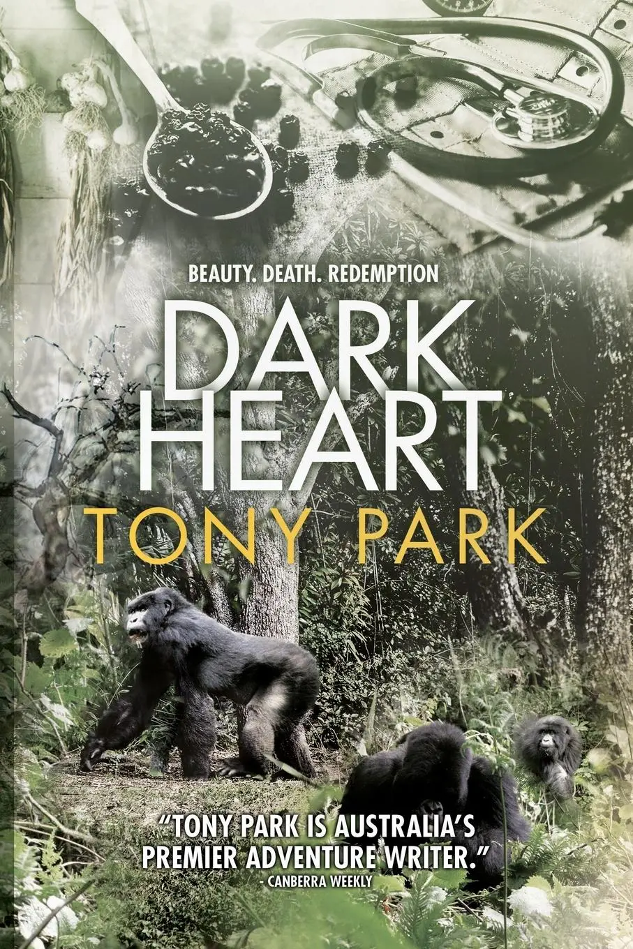 Cover: 9781922389244 | Dark Heart | Tony Park | Taschenbuch | Kartoniert / Broschiert | 2021