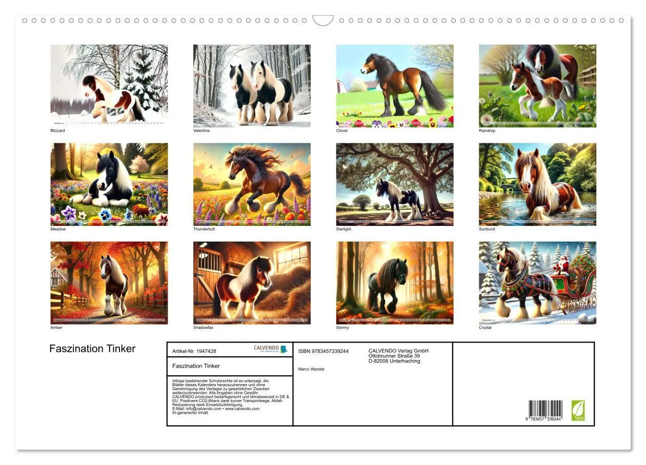 Bild: 9783457339244 | Faszination Tinker (Wandkalender 2026 DIN A2 quer), CALVENDO...