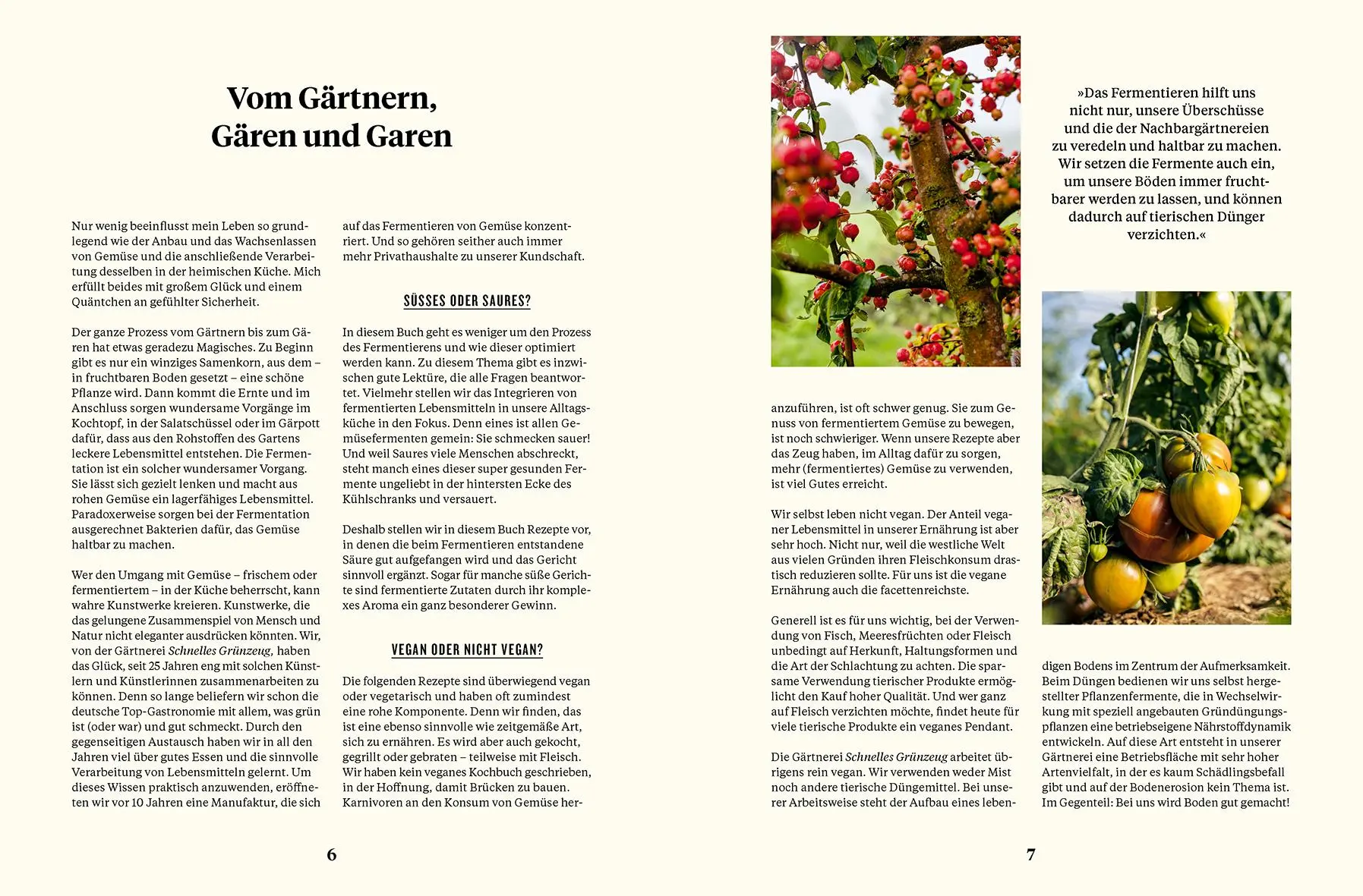 Bild: 9783832169244 | Schnelles Grünzeug | Olaf Schnelle | Buch | 192 S. | Deutsch | 2023