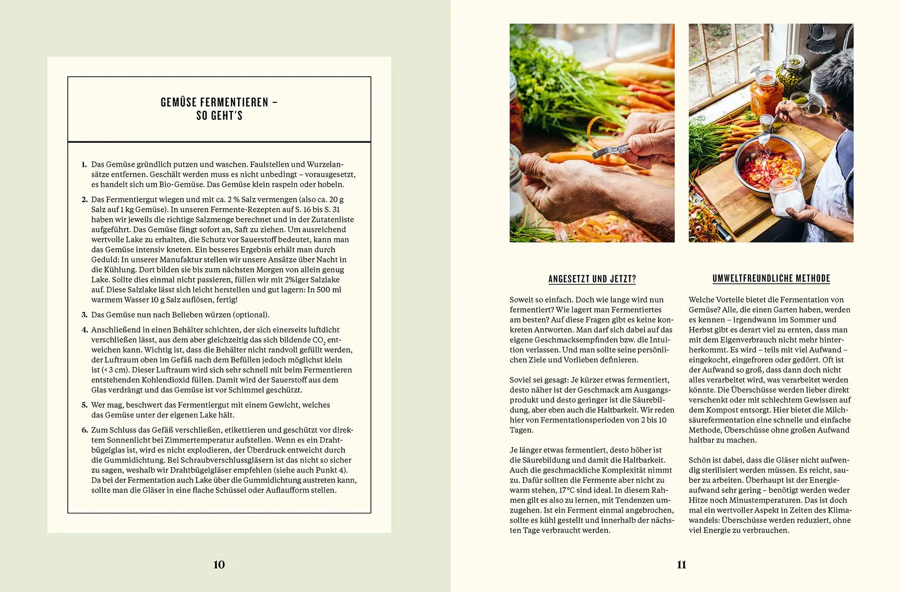 Bild: 9783832169244 | Schnelles Grünzeug | Olaf Schnelle | Buch | 192 S. | Deutsch | 2023