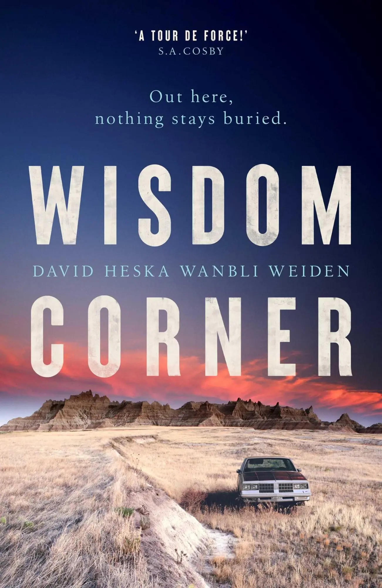 Cover: 9781398509344 | Wisdom Corner | David Heska Wanbli Weiden | Buch | Gebunden | Englisch