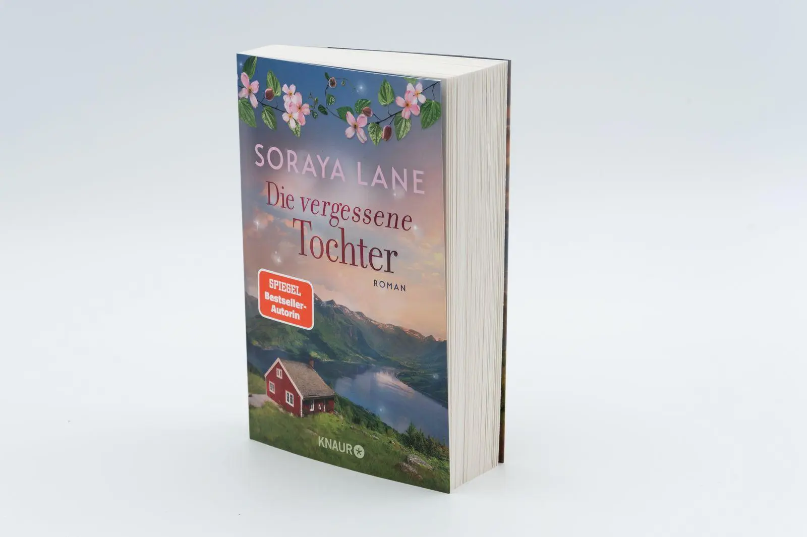 Bild: 9783426569344 | Die vergessene Tochter | Roman | Soraya Lane | Taschenbuch | 352 S.