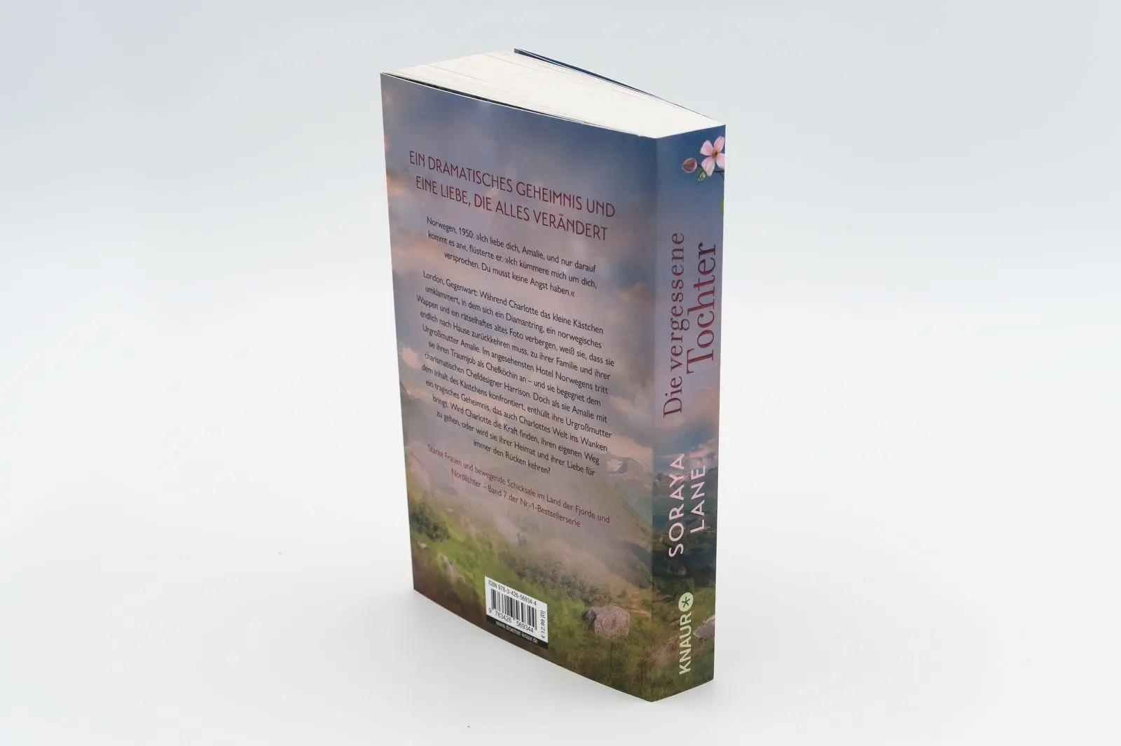 Bild: 9783426569344 | Die vergessene Tochter | Roman | Soraya Lane | Taschenbuch | 352 S.
