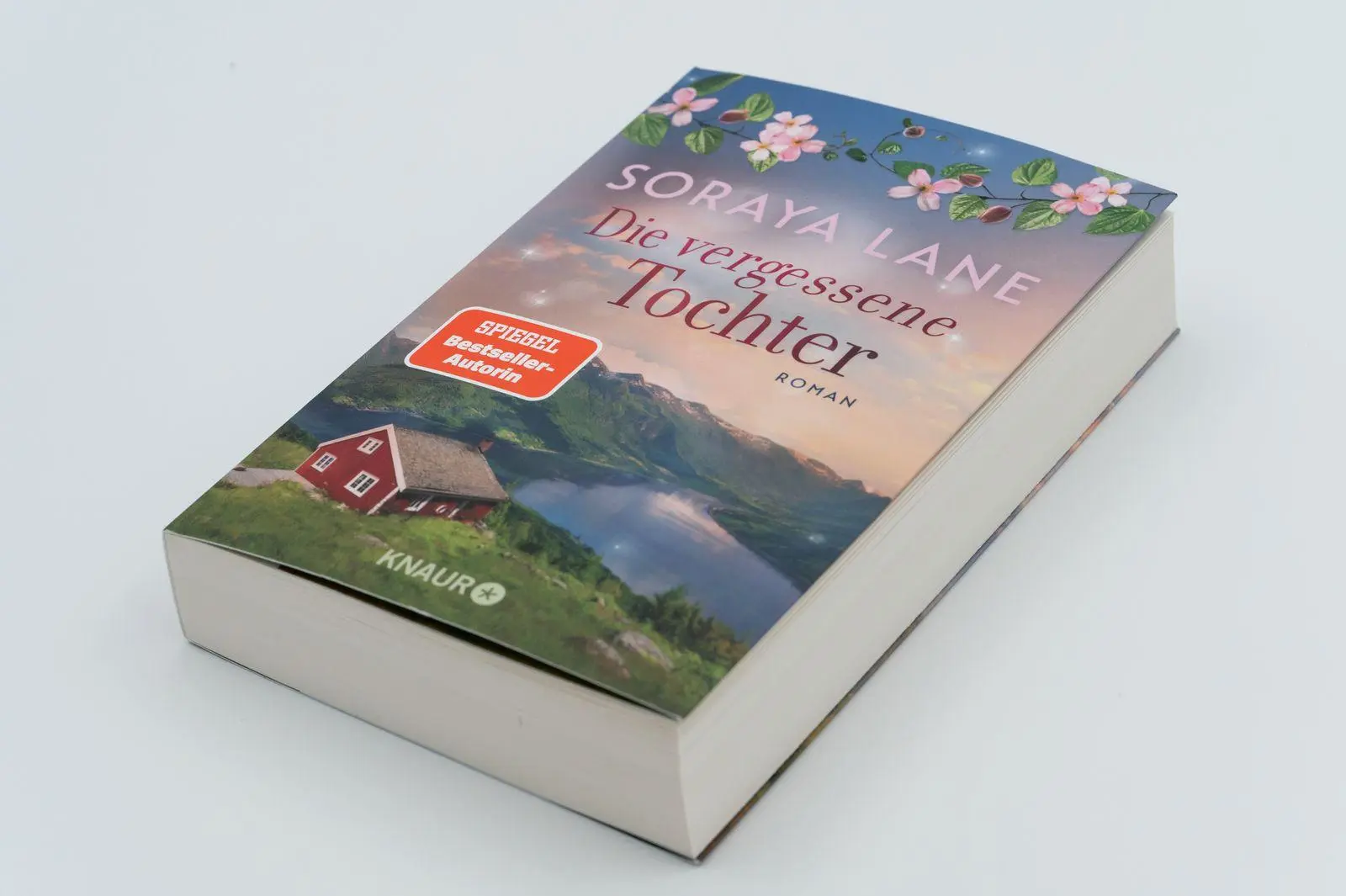 Bild: 9783426569344 | Die vergessene Tochter | Roman | Soraya Lane | Taschenbuch | 352 S.