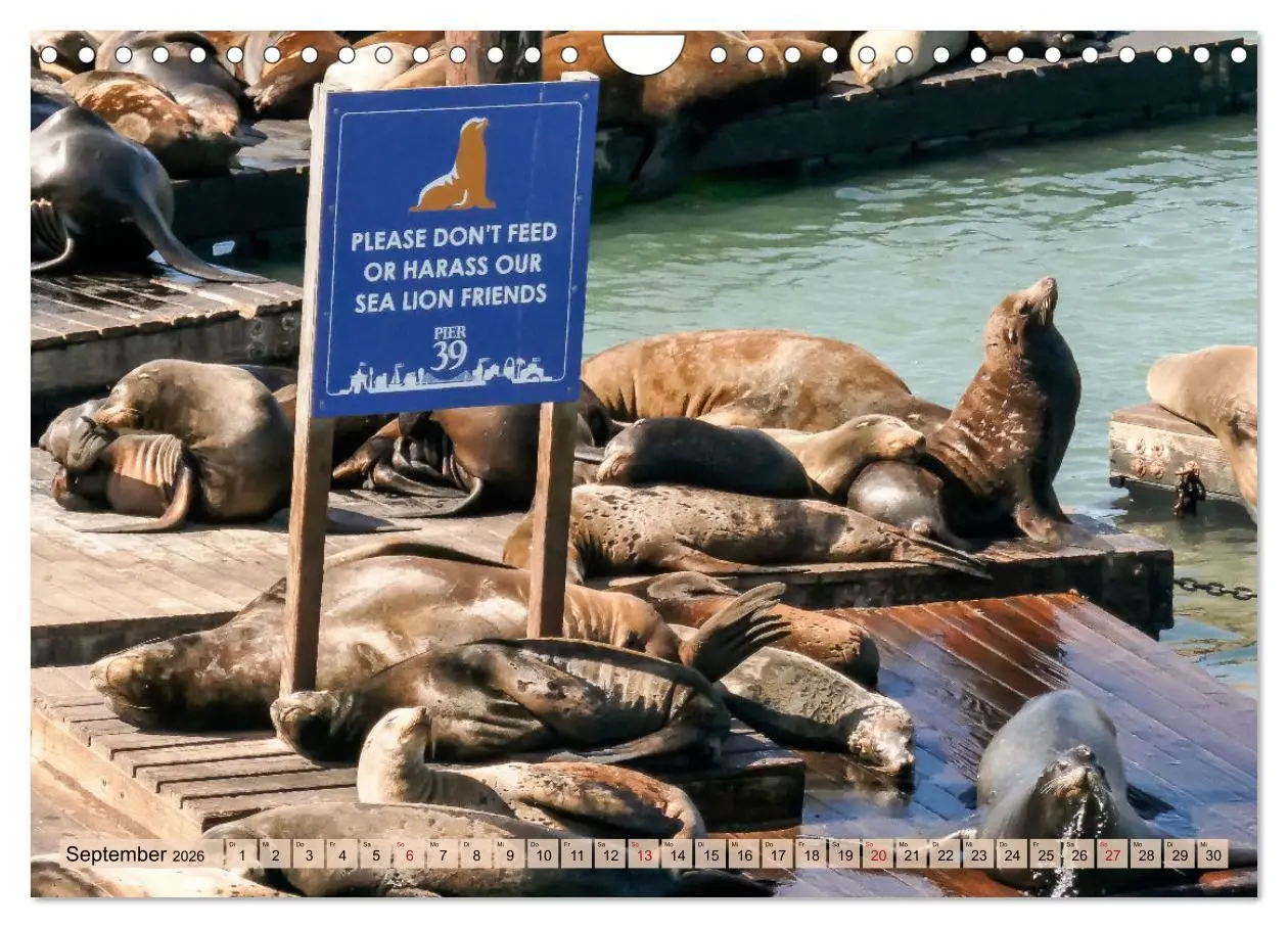 Bild: 9783457639344 | If I'm going to San Francisco (Wandkalender 2026 DIN A4 quer),...