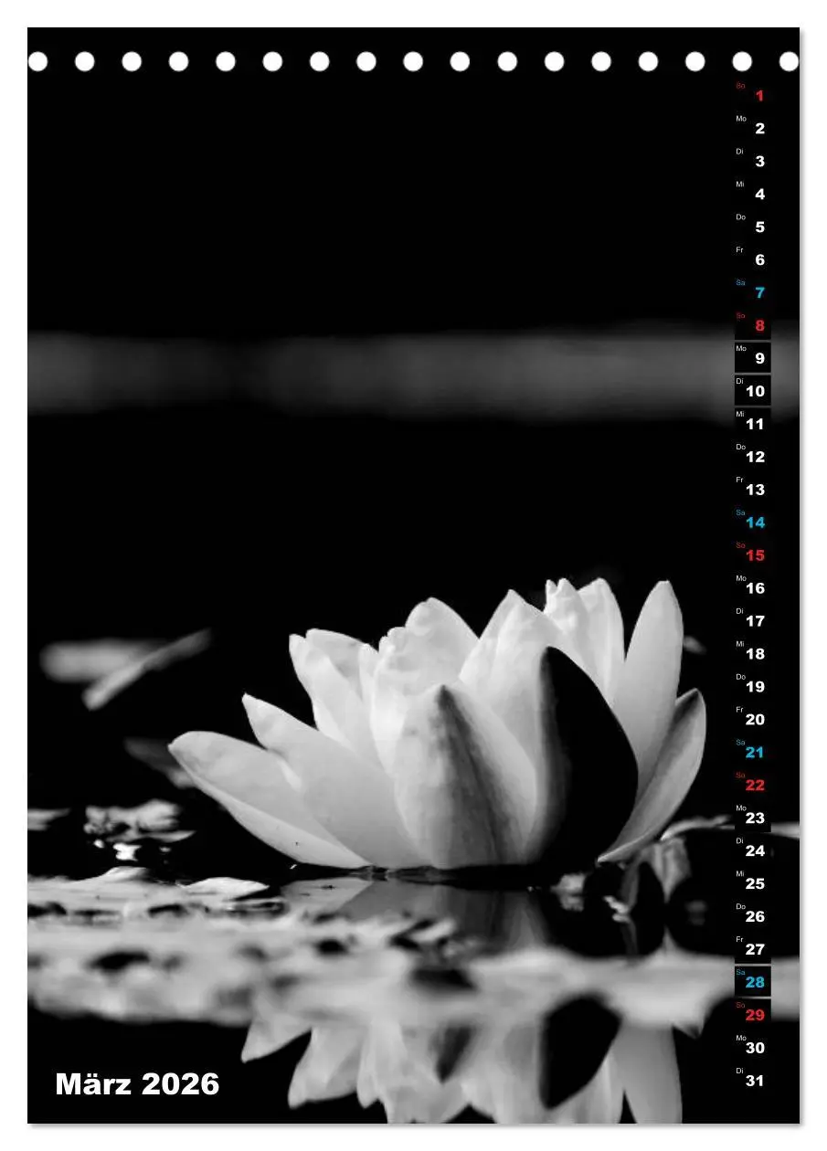 Bild: 9783516419344 | Blumige Graustufen - Schwarz und Weiß (Tischkalender 2026 DIN A5...