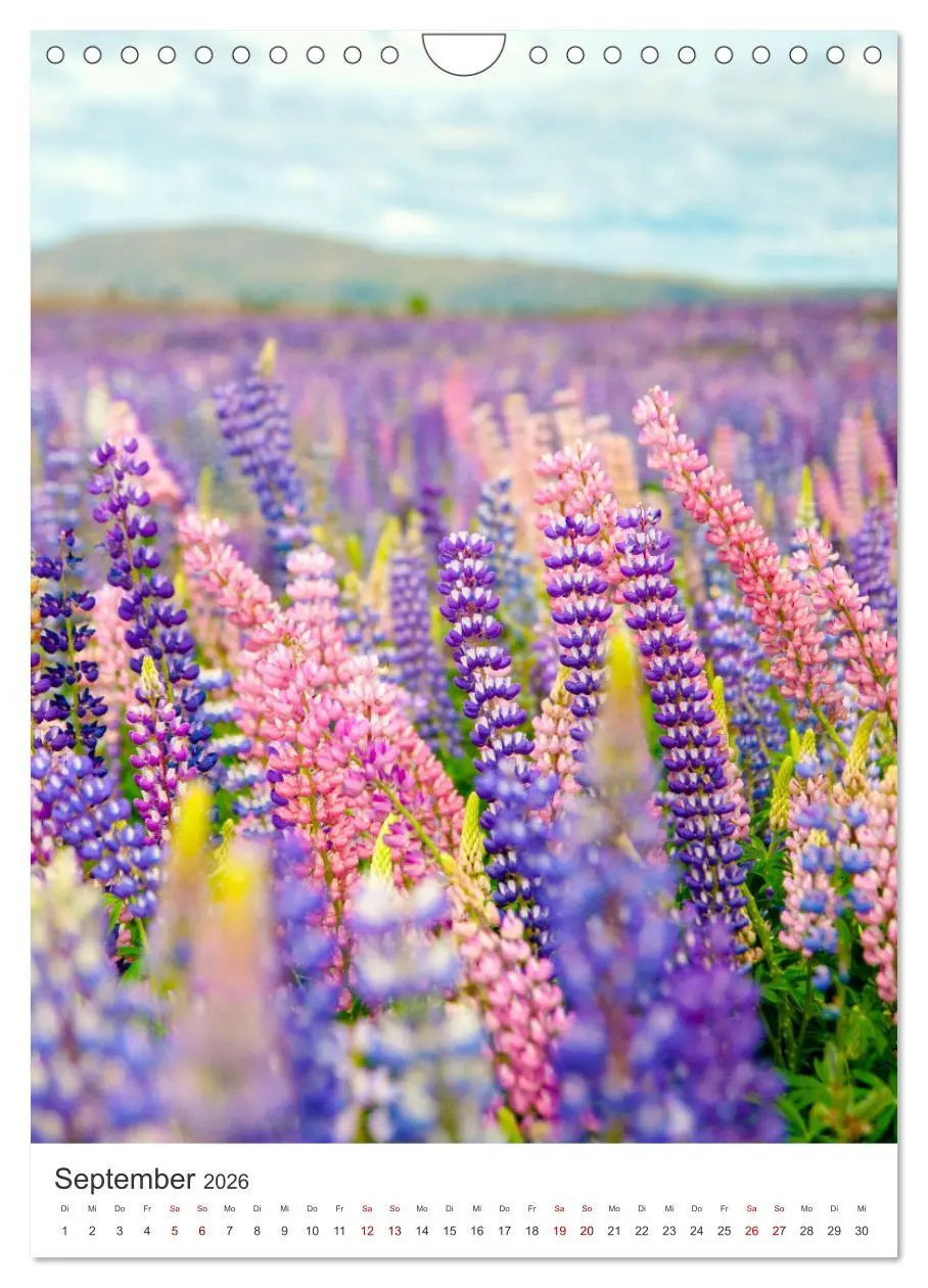 Bild: 9783516339444 | Faszinierendes Neuseeland (Wandkalender 2026 DIN A4 hoch), CALVENDO...