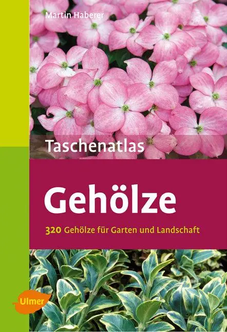 Cover: 9783800159444 | Taschenatlas Gehölze | 320 Gehölze für Garten und Landschaft | Haberer