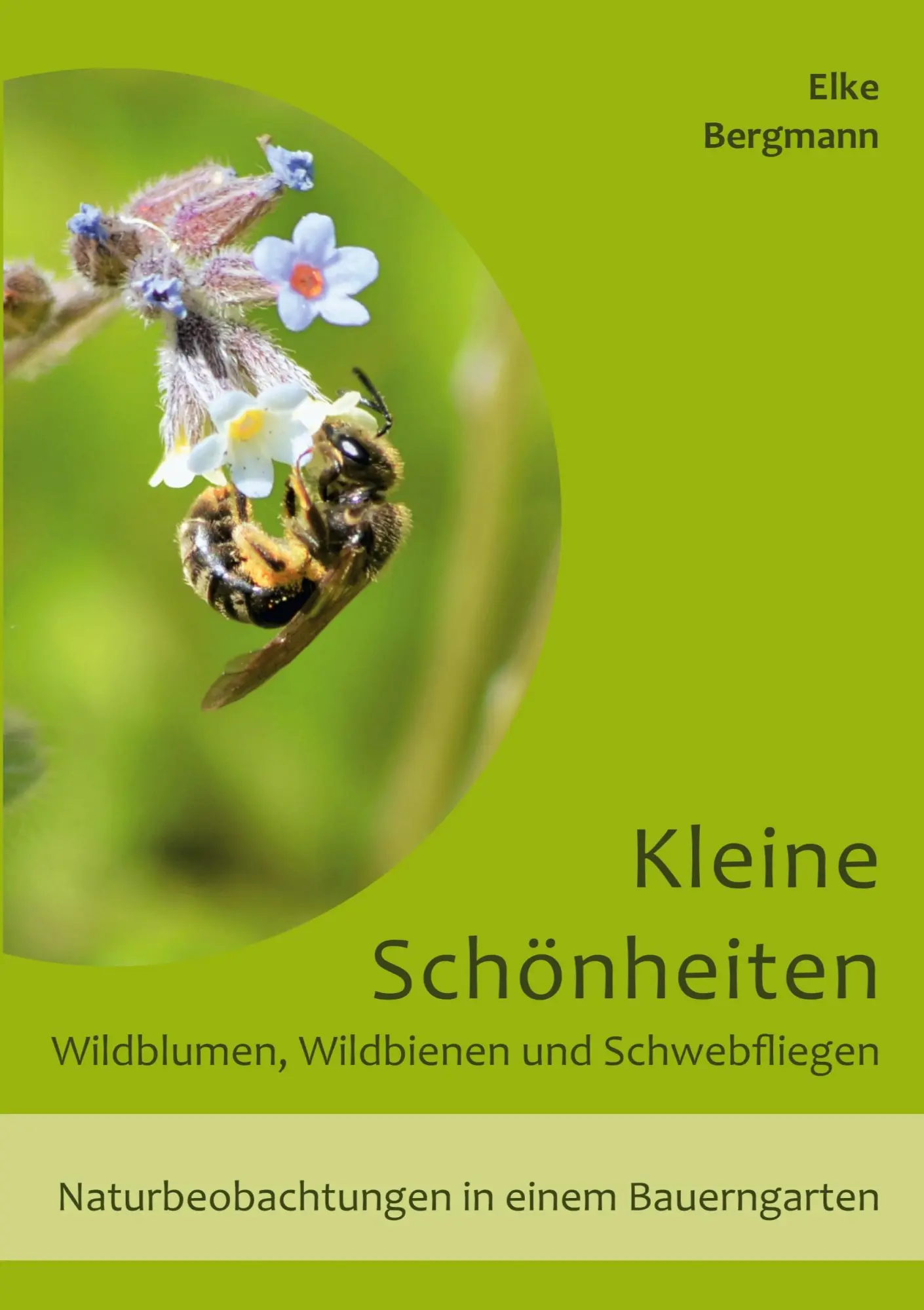 Cover: 9783819209444 | Kleine Schönheiten - Wildblumen, Wildbienen und Schwebfliegen | Buch