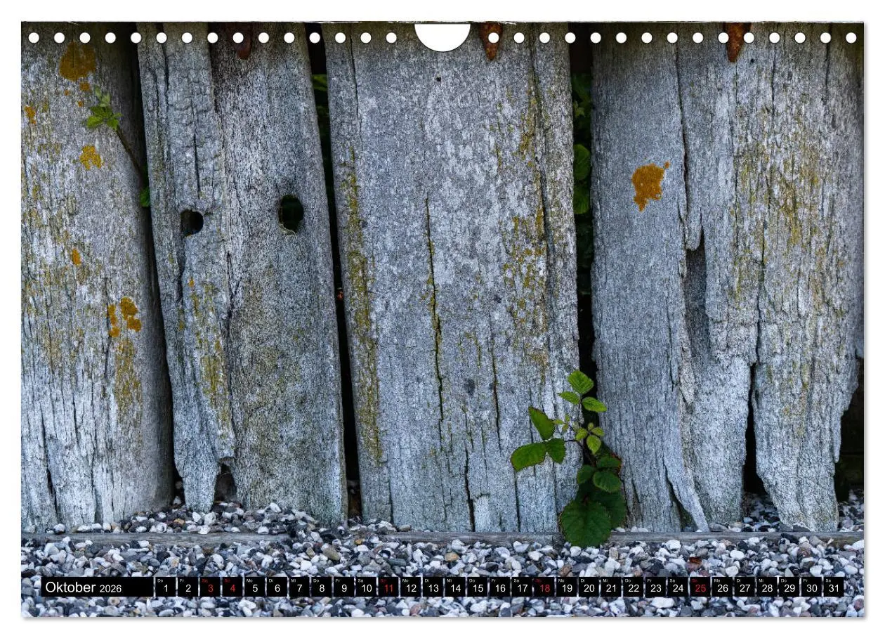 Bild: 9783457789544 | Urlaub auf Römö (Wandkalender 2026 DIN A4 quer), CALVENDO...