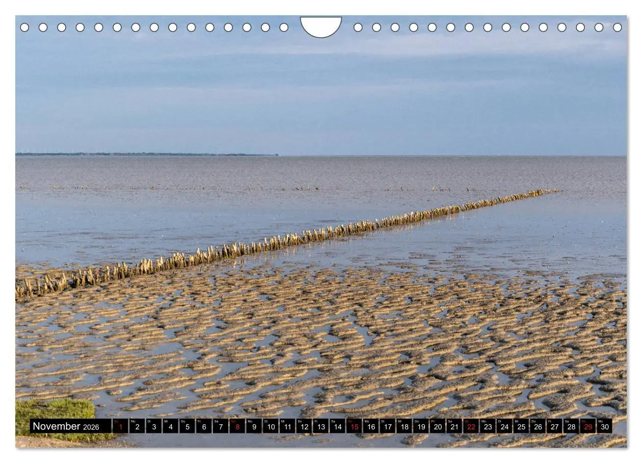 Bild: 9783457789544 | Urlaub auf Römö (Wandkalender 2026 DIN A4 quer), CALVENDO...