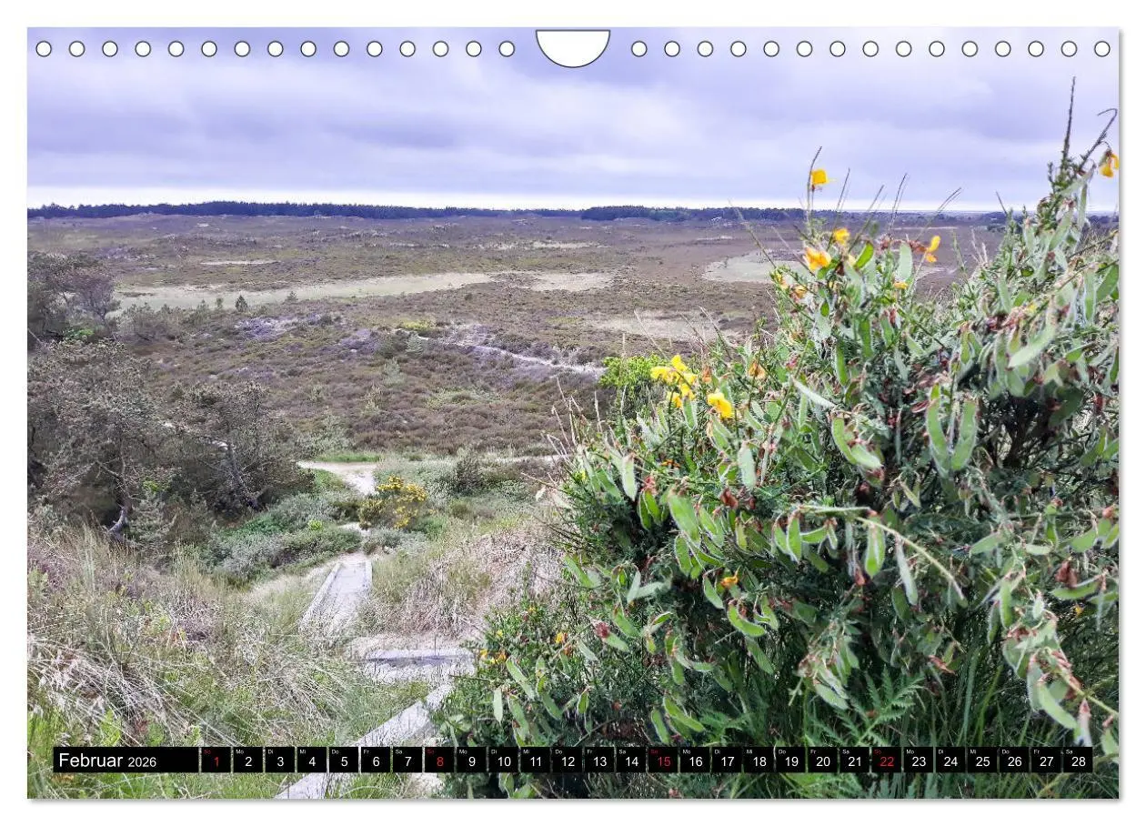 Bild: 9783457789544 | Urlaub auf Römö (Wandkalender 2026 DIN A4 quer), CALVENDO...