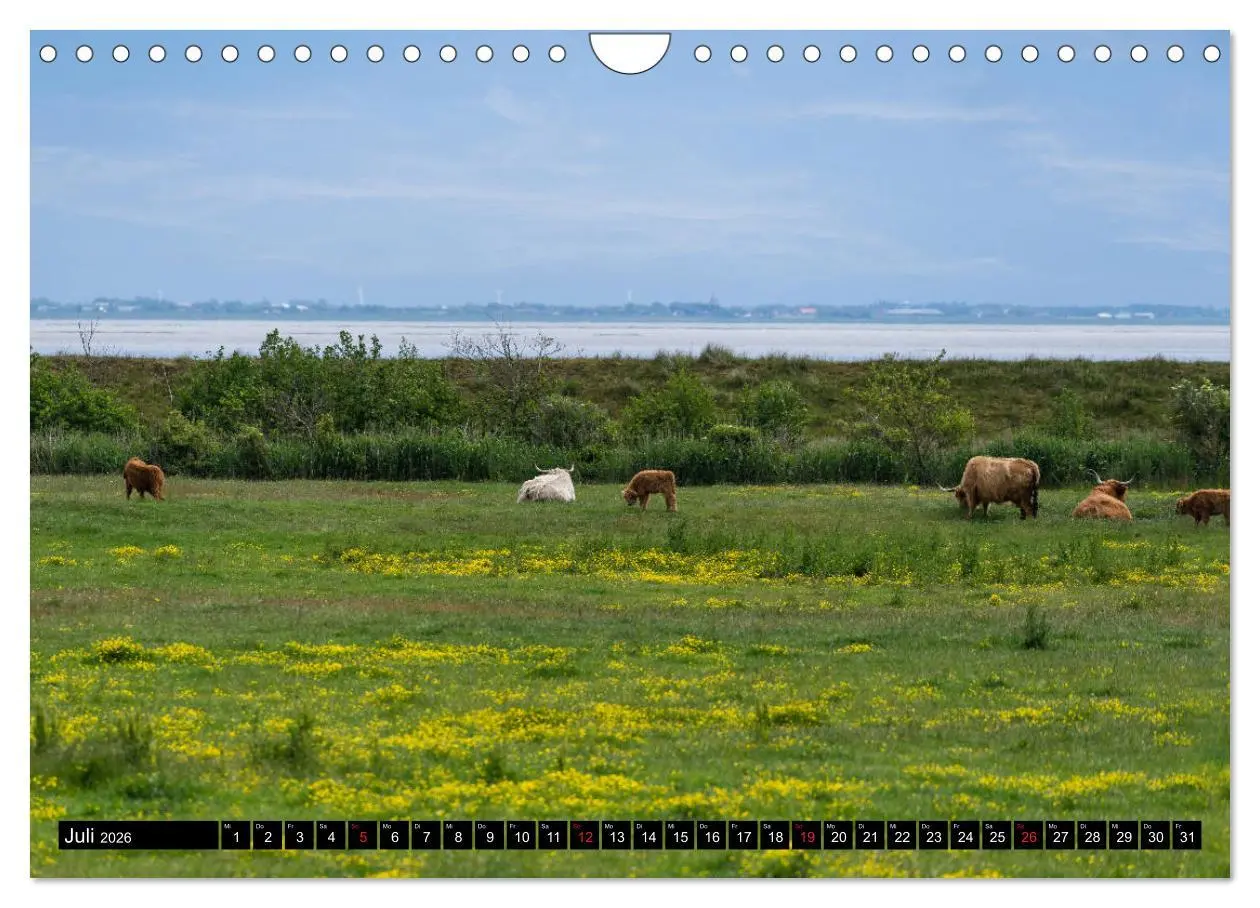 Bild: 9783457789544 | Urlaub auf Römö (Wandkalender 2026 DIN A4 quer), CALVENDO...